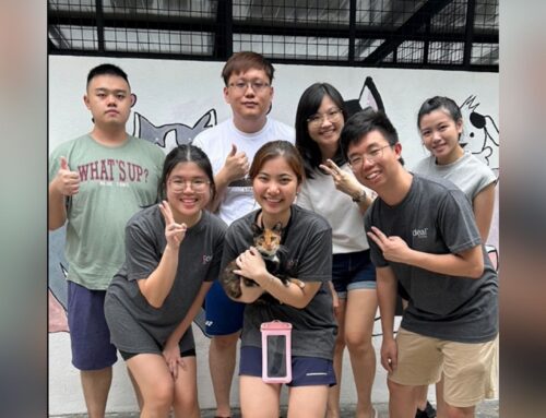 Ideal Vision Volunteers at SPCA Penang, Making a Pawsitive Impact